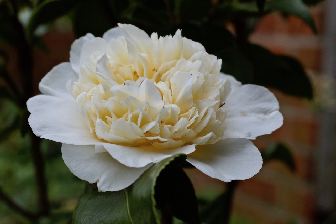 Garten-06-04-17.jpg