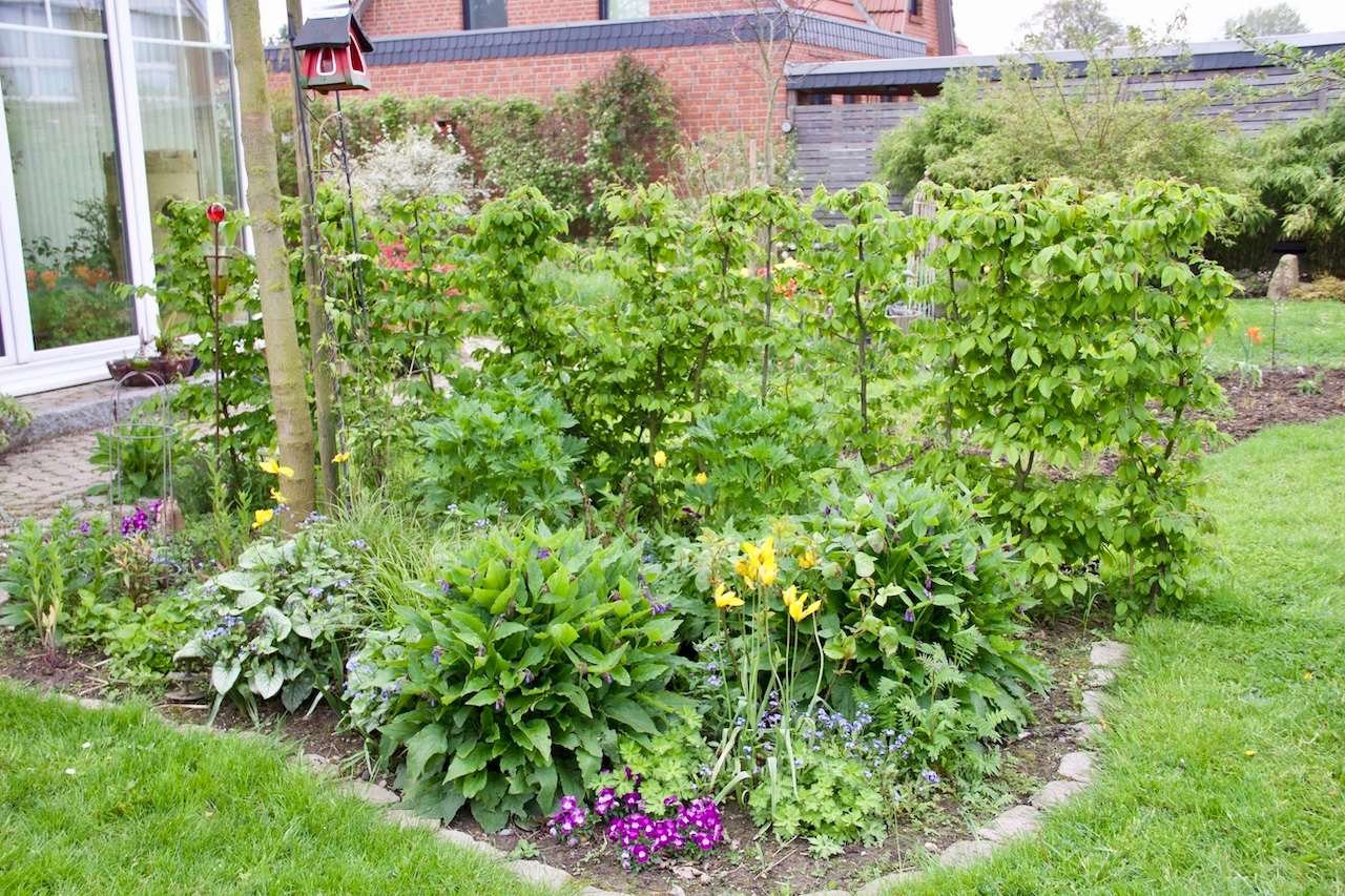 Garten-17-05-17.jpg