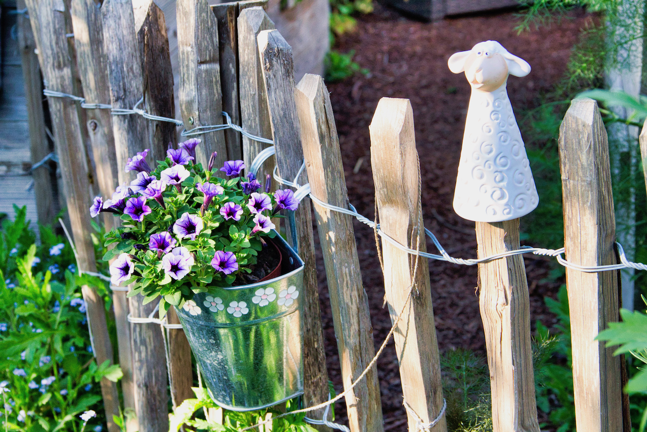 Garten-35-05-17.jpg