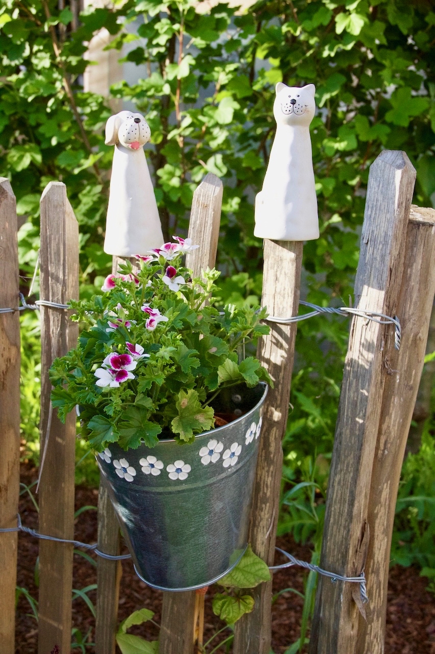 Garten-37-05-17.jpg