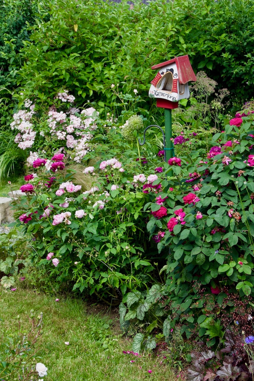 Garten-49-06-17.jpg
