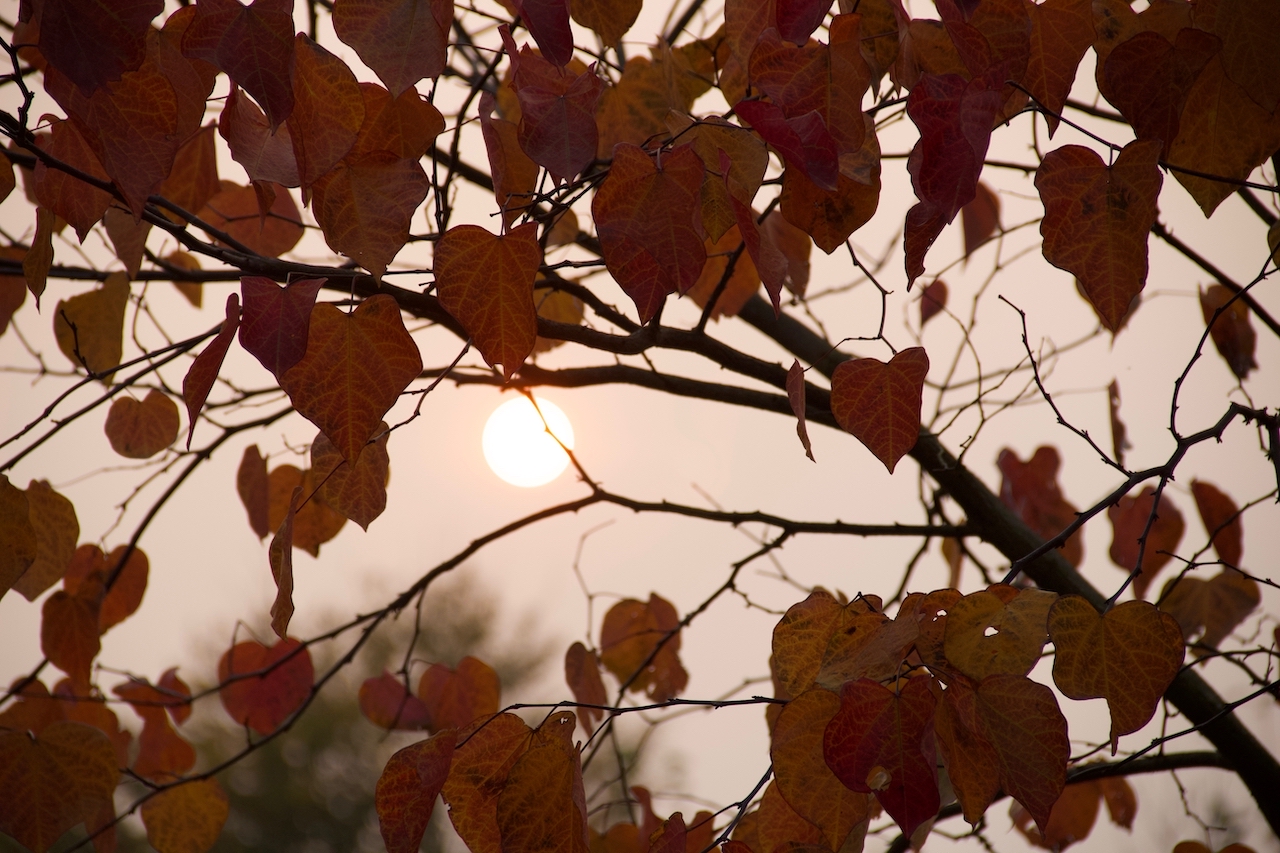 Garten-69-10-17.jpg