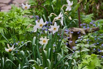 tb_Garten-19-05-17