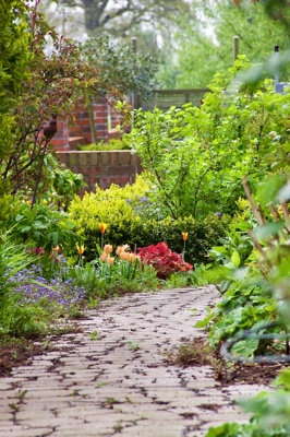 tb_Garten-22-05-17