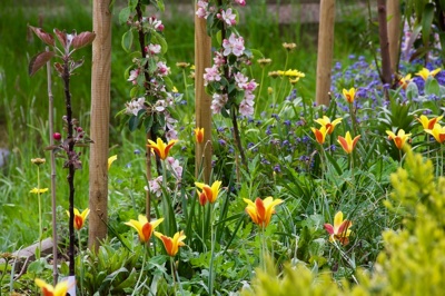 tb_Garten-23-05-17