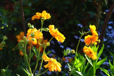 tb_Garten-28-05-17