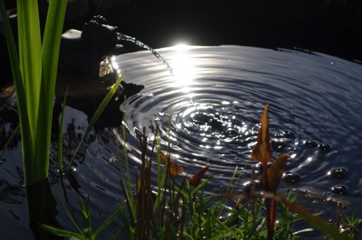 tb_Garten-29-05-17