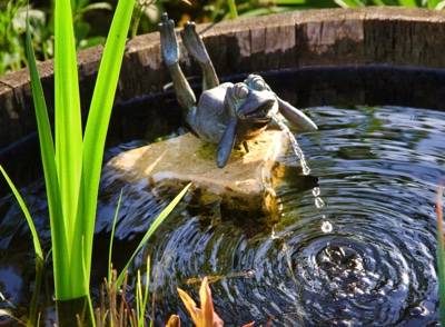 tb_Garten-32-05-17