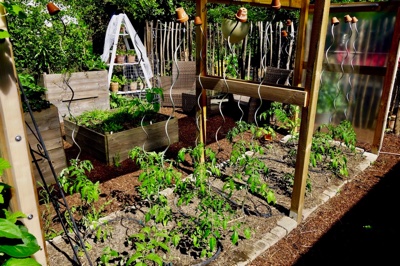 tb_Garten-41-05-17