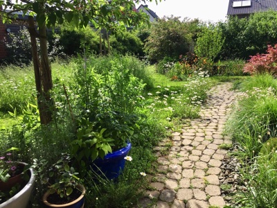tb_Garten-43-05-17