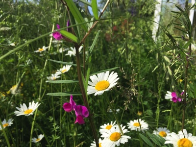 tb_Garten-44-05-17