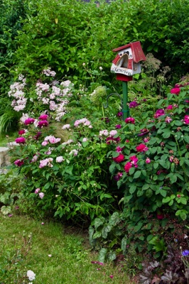tb_Garten-49-06-17