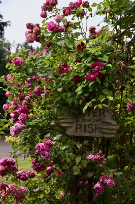 tb_Garten-51-06-17