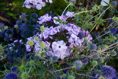 tb_Garten-59-07-17