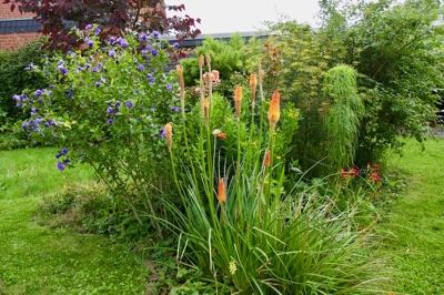 tb_Garten-60-08-17