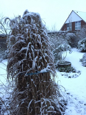 tb_Garten-73-12-17